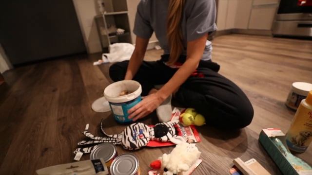 GETTING MY DREAM DOG, first 24 hours with NEW PUPPY смотреть онлайн