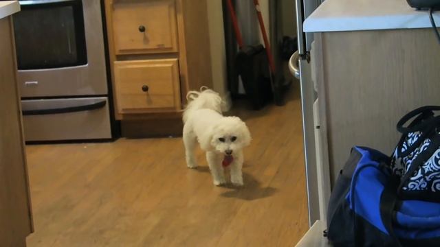 A DAY IN THE LIFE OF QUINCY! смотреть онлайн