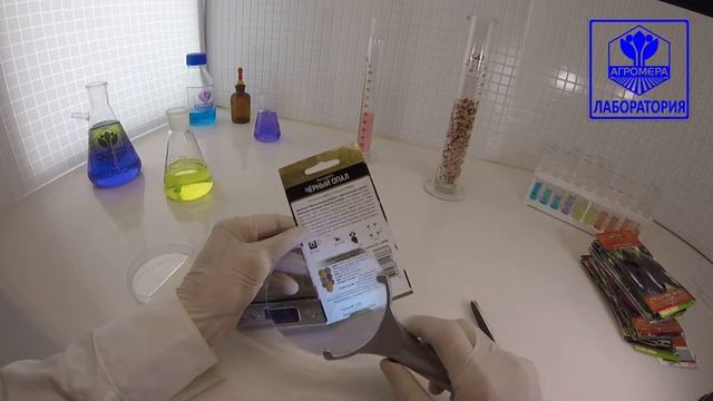 Баклажан Черный Опал. Поиск смотреть онлайн