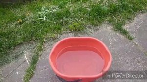 Интавир - один раз против всех вредителей.