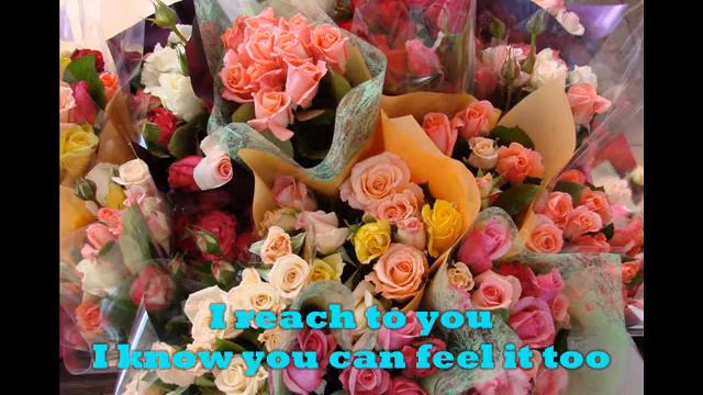 Celine Dion - I Surrender смотреть онлайн