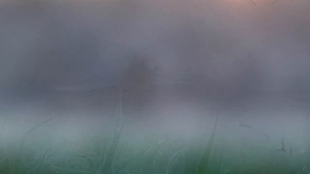 Белым облаком (Николай Жуков-муз. Любовь Чернышова-стихи, Любовь Великанова-вокал) смотреть онлайн