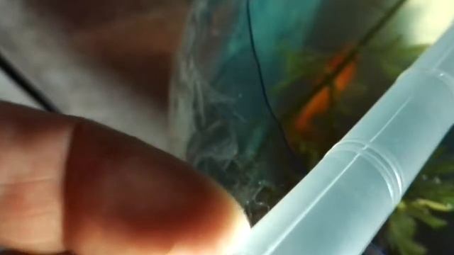 Испытание китайской помпы для чистки аквариума смотреть онлайн