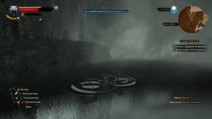 Ведьмак 3. Вопросительный знак и место силы около лесопилки Риу-Канн