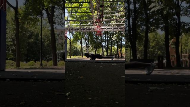 Отжимания superman #спорт #calisthenics #fitness #gym #motivation #стритлифтинг #отжимания #fitgym смотреть онлайн