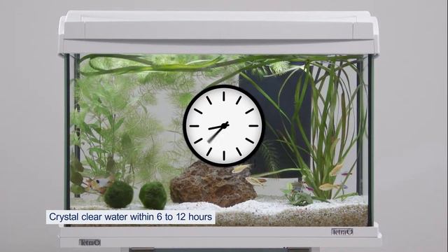 Tetra CrystalWater | Vedenkirkastaja смотреть онлайн