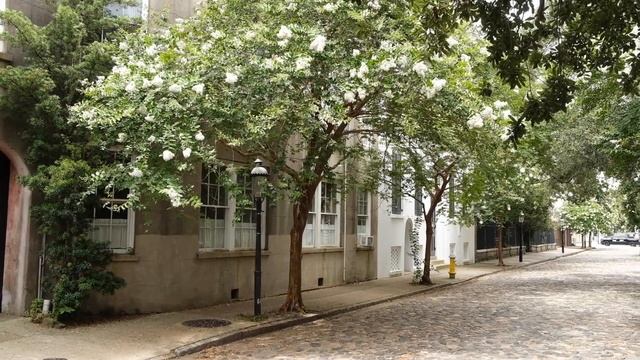 The History Behind the Cobblestone Streets of Charleston, South Carolina | Lively Charleston смотреть онлайн