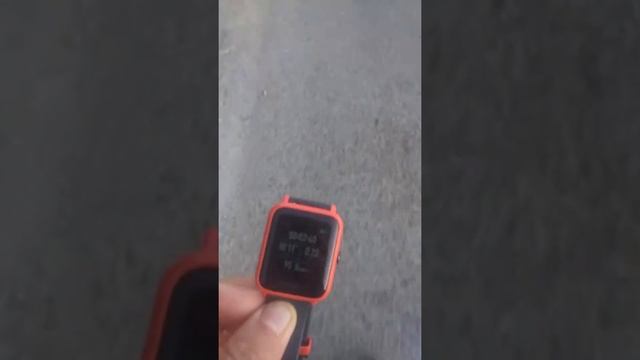 Обзор сравнение часы amazfit bip обман пульсометра смотреть онлайн