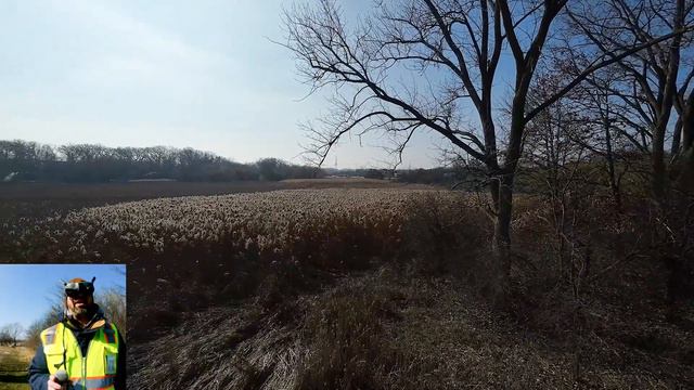 Commentary at the wetlands. DJI Avata, FPV, drone, head tracking, motion controller, cinematography смотреть онлайн