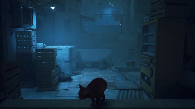 Stray киберкот побег от пельменей часть 2 смотреть онлайн