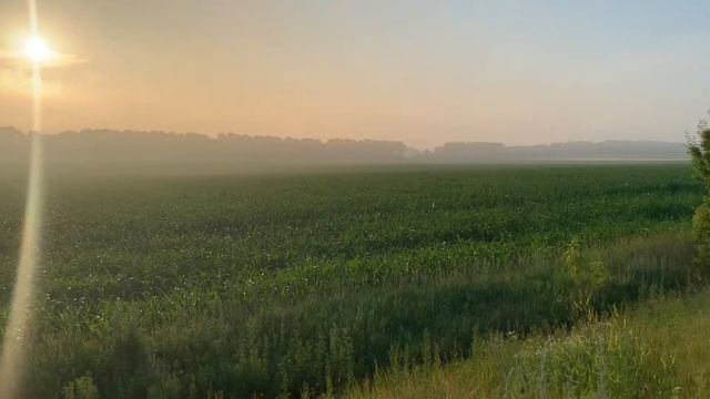 КЛАССНЫЙ МУЗОН ? УТРО 6:00 ВОСХОД СОЛНЦА В ДОРОГЕ ? БЕСКРАЙНИЕ ПОЛЯ ? НЕОБЫЧНЫЕ КАДРЫ ТУМАН И ВОСХО