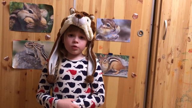 Рассказ про бурундука смотреть онлайн