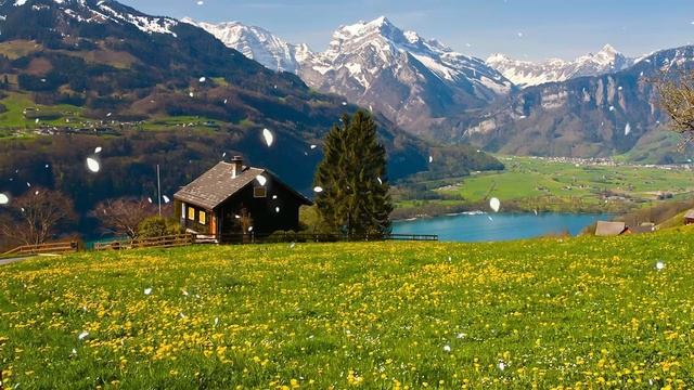 Красивая музыка Сергей Грищук! Сборник невероятно красивой, завораживающей музыки для души!