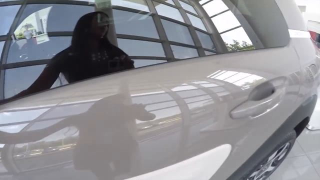 Автомобильный рай