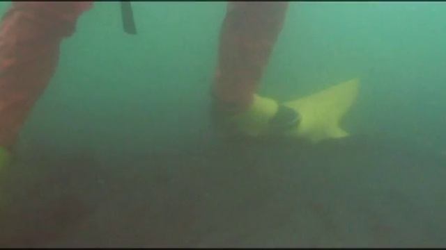 Под водой с Кириллом Ивановым - 507 - Карское Море. Новая Земля. смотреть онлайн