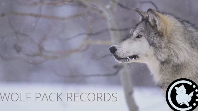 Chimeric - Metronome (Vocal Mix) смотреть онлайн