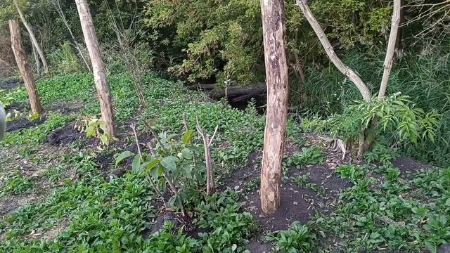 Заливаем водоотведение своими руками. Почему я не люблю этот дом? смотреть онлайн