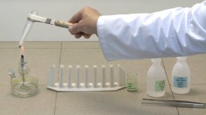 Реакция диспропорционирования. Опыт 1