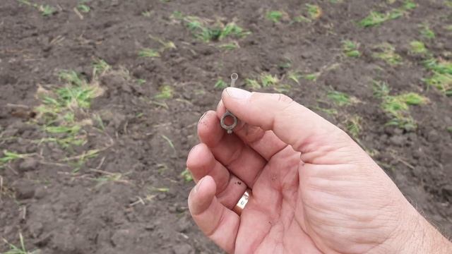 Первая попытка закрытия сезона с Minelab EQUINOX 800! Таких находок ещё не было! смотреть онлайн