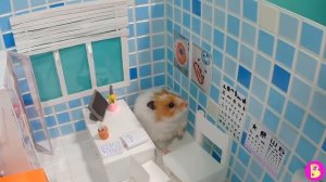 ХОМЯЧКИ У ВРАЧА/ ВИКИ БОИТСЯ КАПАТЬ В ГЛАЗКИ