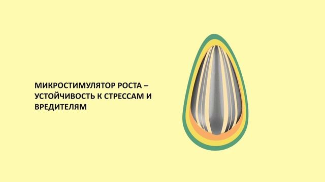 Технология производства семян подсолнечника CAUSSADE SEMENCES по технологии SunPower смотреть онлайн