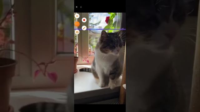 СОТРИ кое что и УЗНАЙ ПРАВДУ смотреть онлайн