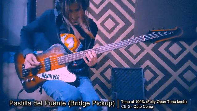 Gibson Thunderbird vs Epiphone Thunderbird - Bass Comparison - Comparación de Bajos - Test #gibson смотреть онлайн