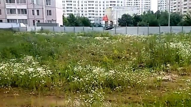 А будет ли новый кинотеатр по улице: Ленинградская, д. 23? смотреть онлайн