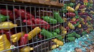 Dachni otvet 03.12.2017 на remont-online.net