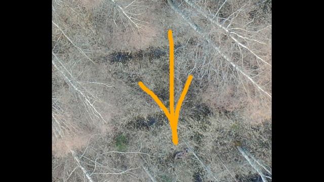 Влад Бахов. Что скрывают поисковики? Фотографии с квадрокоптера - фотошоп. смотреть онлайн