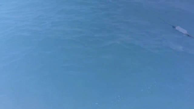 МОИ КАНИКУЛЫ В ТУРЦИИ🌞/ Лето Алабрины на море! 🌏VLOG2018 смотреть онлайн