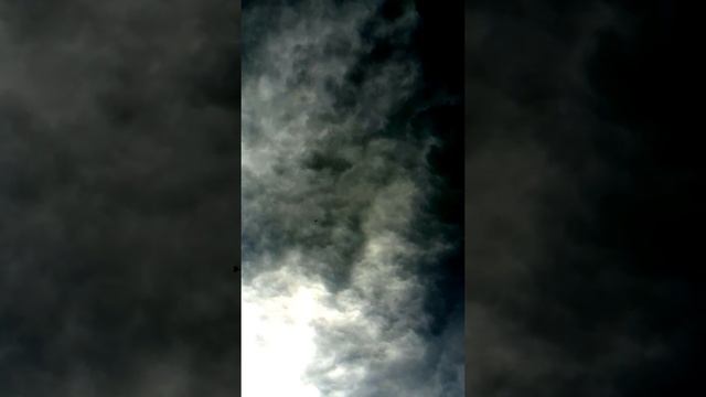 Бакинские бойные Евгения Новикова, белый голубь, посадка с хорошим боем, 2015 г. смотреть онлайн