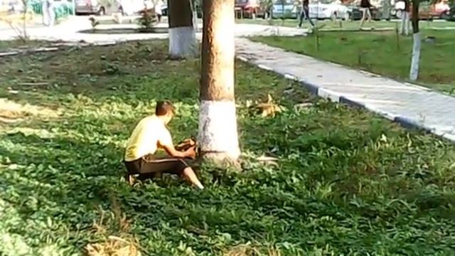 пилят мертвое дерево у ТЦ Вертикаль