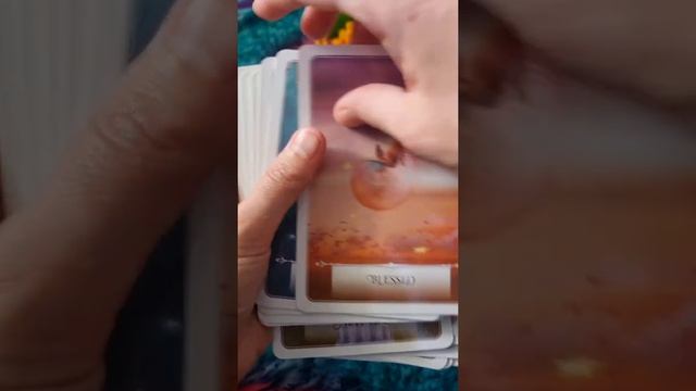 Wisdom Of The Oracle Flip Through смотреть онлайн