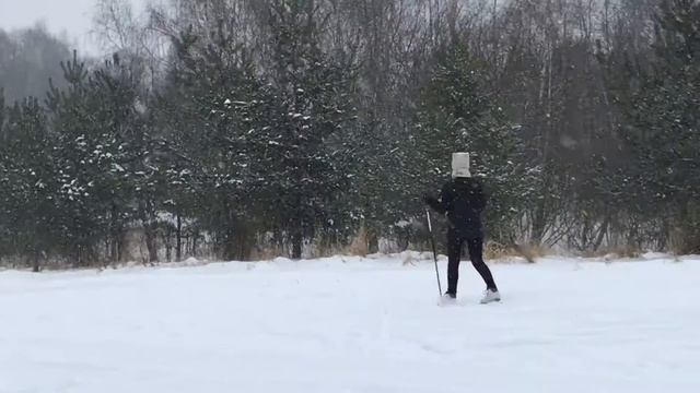 Зимний отдых жителей столицы в Измайловском парке смотреть онлайн