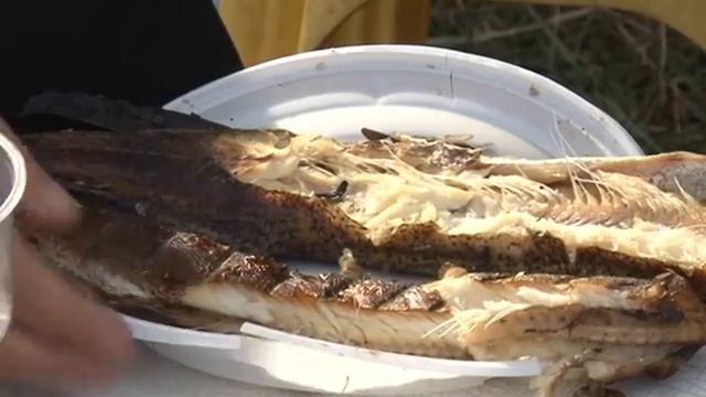 о подводной рыбалке сюжет смотреть онлайн