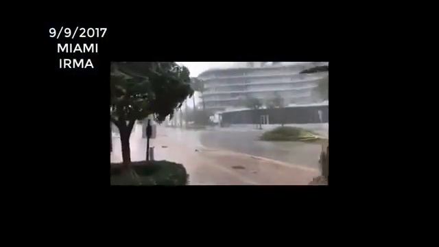 Ураган Ирма смотреть онлайн