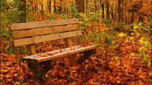 А.Дольский - Осенняя песня