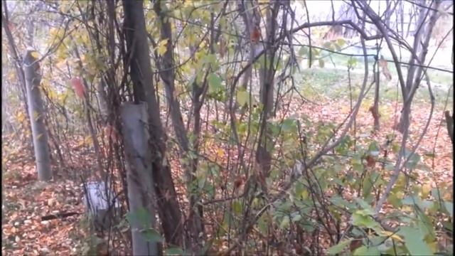 шашлык смотреть онлайн