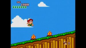 История серии Adventure Island