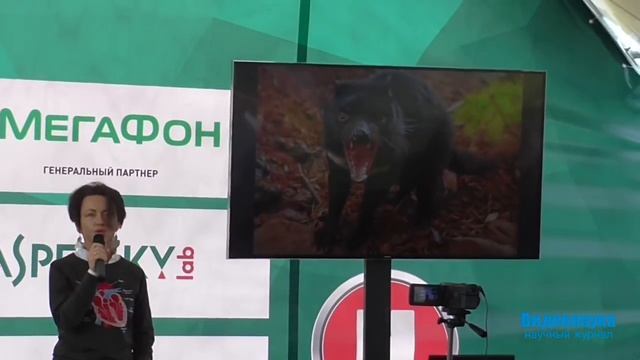 Евгения Тимонова Глупые звери, умные птицы, мудрые люди смотреть онлайн