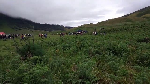 Bromo tengger semeru national park, teletubbies hill bromo смотреть онлайн