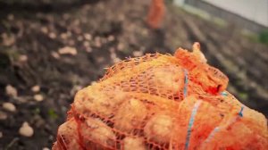 Рустам Закиров   Тэгэрэткэн бэрэнге