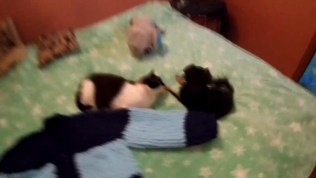 Кофта из ализе пуффи смотреть онлайн