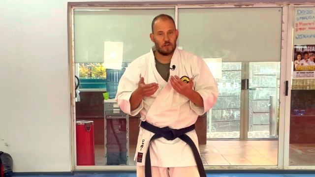Defending And Attacking With One Arm: Randori Basics For Goju Ryu смотреть онлайн
