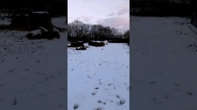 Недвижимость Краснодарского края смотреть онлайн