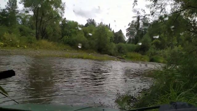 Сбор кедровой шишки урожайный год / Алтай за кедровой шишкой / Часть 2. Утопили ЛуАЗ. смотреть онлайн