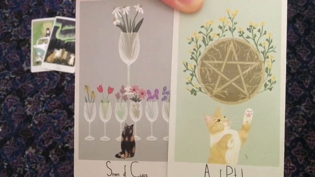 ✨Pick a card reading✨ Celtic Cross (Timeless) смотреть онлайн