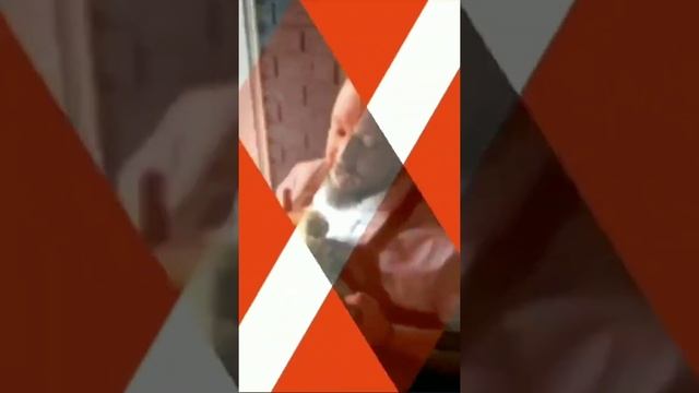 Сергей Акашев / Лучшие стейки и мясо на кости / ГАСТРОБАР "НА КОСТЯХ" смотреть онлайн