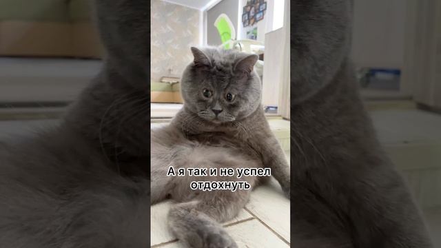 Блин, а где я работаю? ? смотреть онлайн